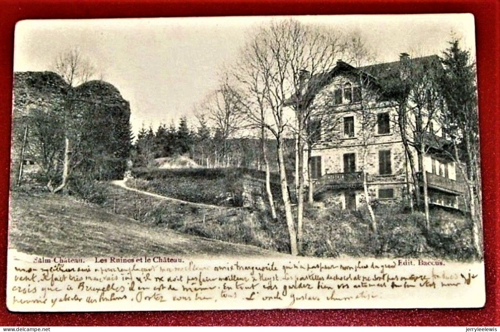 SALMCHÂTEAU - SALM-CHÂTEAU   -  Les Ruines Et Le Château  -  1903    - - Vielsalm