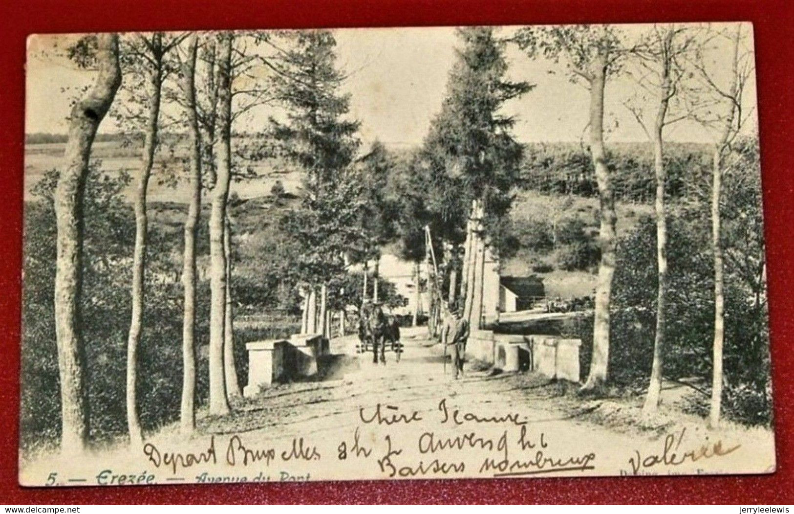 EREZEE  -     Avenue Du Pont  -  1905     - - Erezée