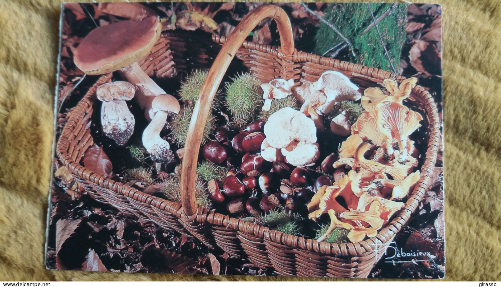 CPM PANIER DE CHAMPIGNONS PHOTO FRANCIS DEBAISIEUX CEPES CHATAIGNES PIEDS DE MOUTON GIROLLES AUTOMNE PRES BOIS - Pilze