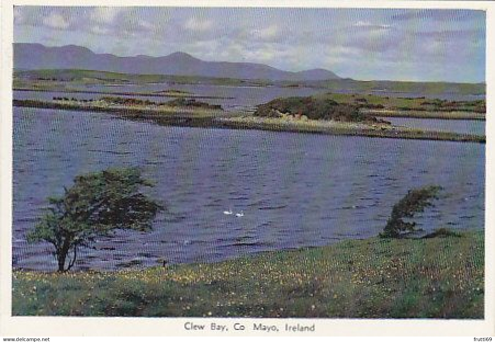AK 192367 IRELAND - Co. Mayo - Clew Bay - Mayo