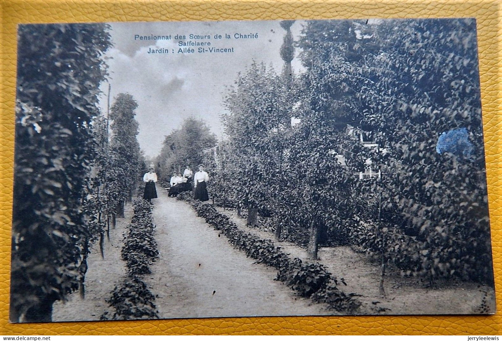 ZAFFELARE - SAFFELAERE -  Pensionnat Des Soeurs De La Charité  -  Jardin : Allée St Vincent - Lochristi