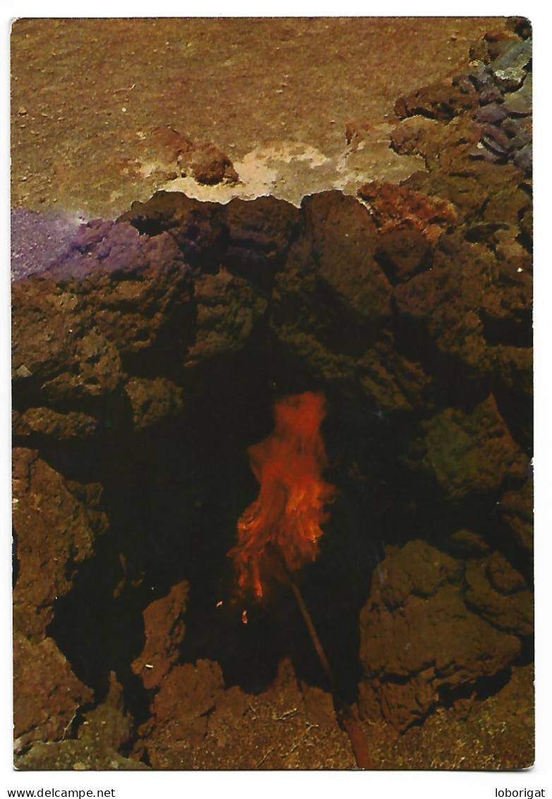 HORNO NATURAL EN LA MONTAÑA DE FUEGO.- LA ISLA DE LOS VOLCANES.- LANZAROTE / ISLAS CANARIAS.- ( ESPAÑA ). - Lanzarote