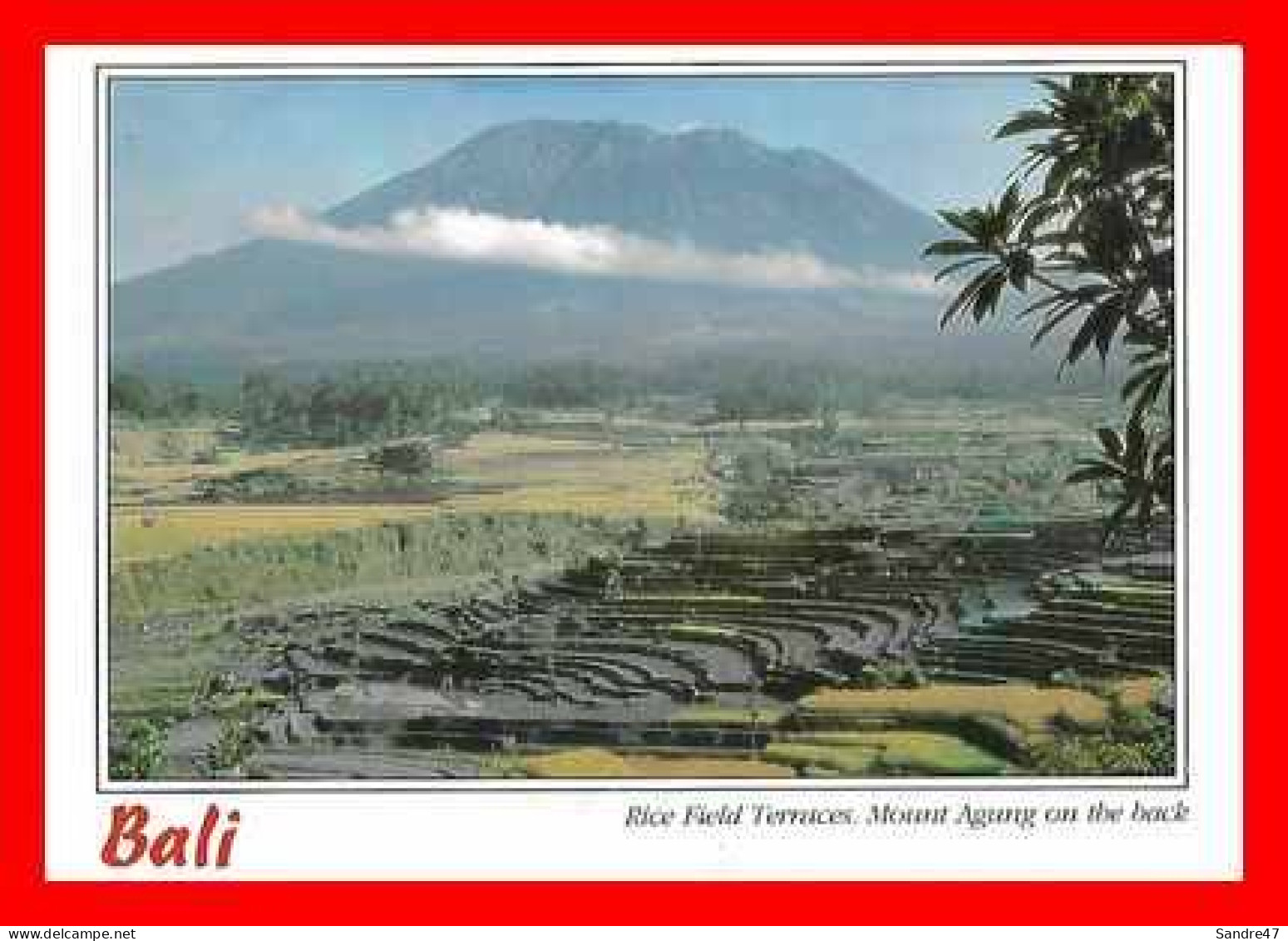 CPSM/gf BALI (Indonésie)  Rice Field Terraces. Mount Agung On The Back.*2415 - Indonésie
