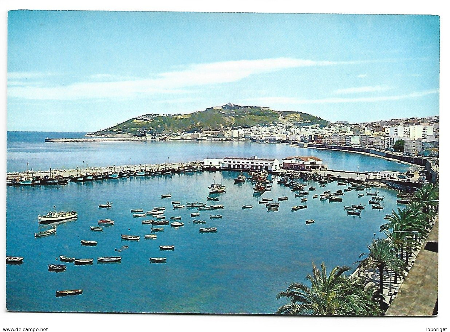 VISTA PUERTO PESQUERO, AL FONDO CIUDAD Y MONTE HACHO.- PERLA DEL MEDITERRANEO.- CEUTA.- ( ESPAÑA ) - Ceuta