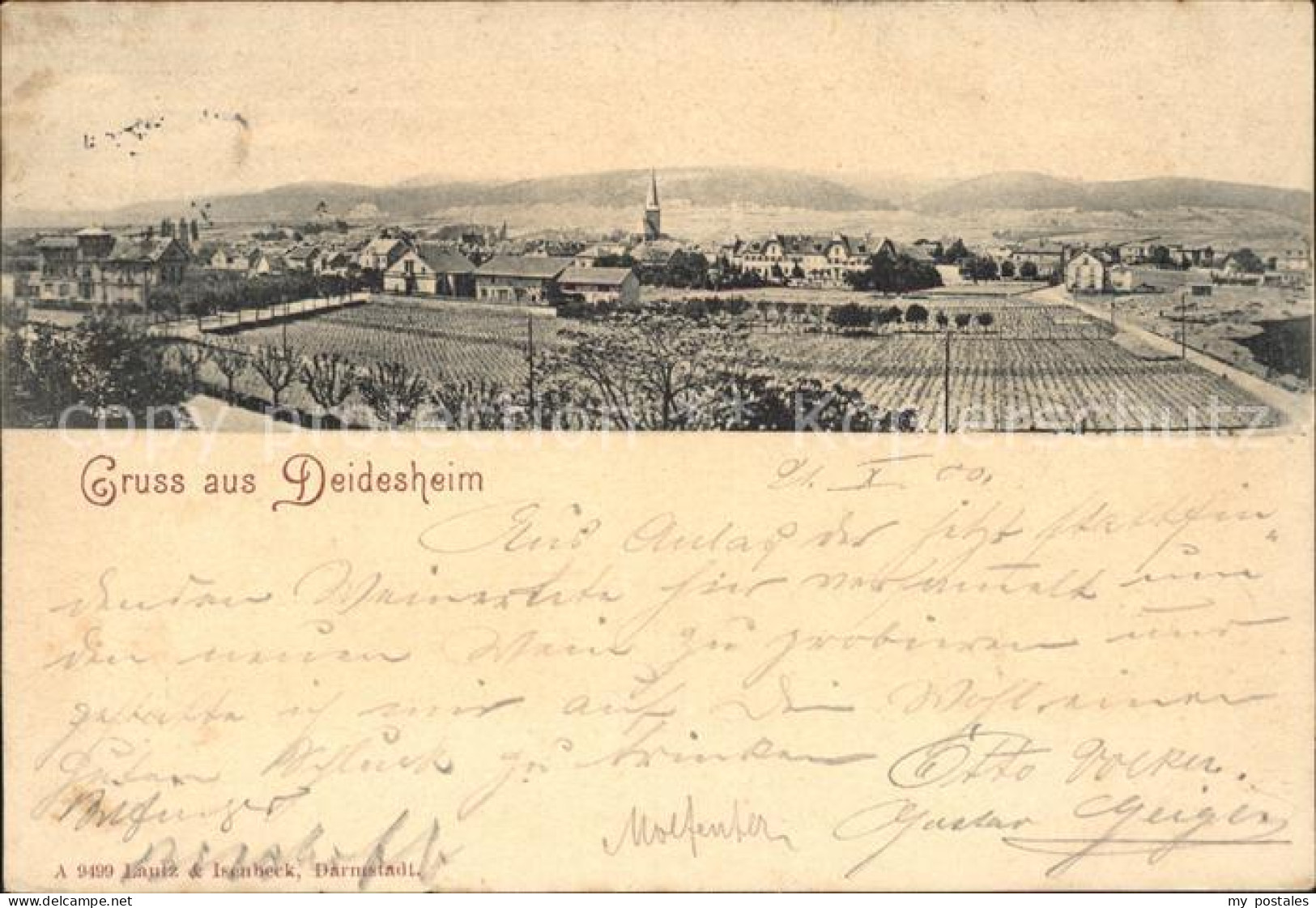 41791282 Deidesheim Panorama Deidesheim - Deidesheim