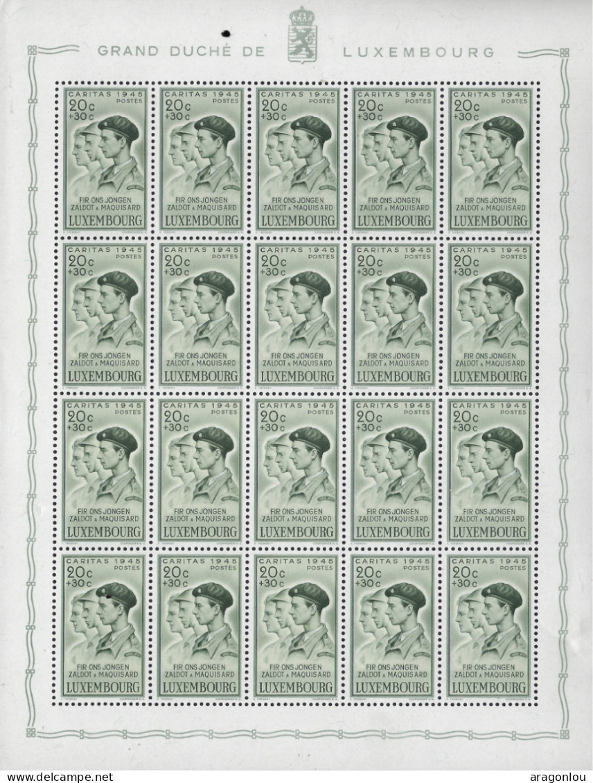 Luxembourg - Luxemburg - Timbres - Feuillets  1945   Caritas    Mutilés De La Guerre - Blocs & Feuillets