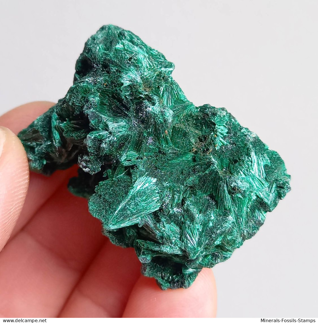 #XX04 - Schöne MALACHIT Radialstrahlige  Kristalle (Tsumeb Mine, Namibia) - Minéraux