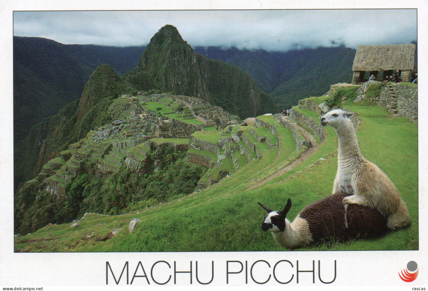 CPM GRAND FORMAT 1 - PEROU - MACHU PICCHU - Pérou