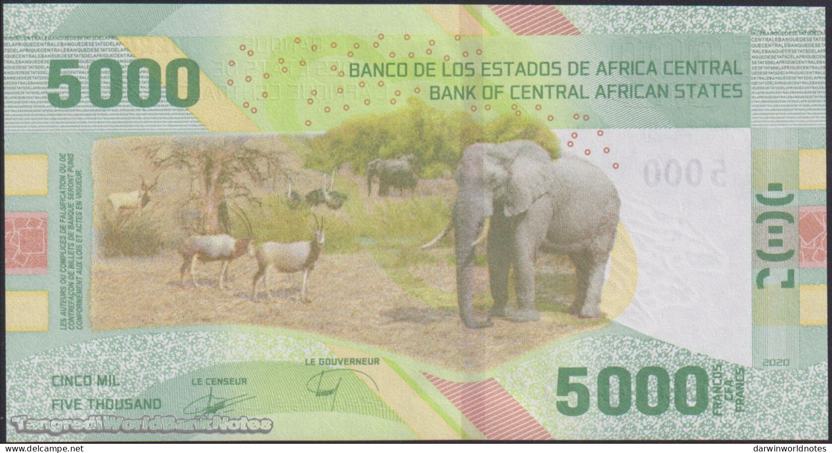 DWN - CENTRAL AFRICAN STATES 703 - 5000 5.000 Francs 2020 (2022) UNC - Various Prefixes - Central African States