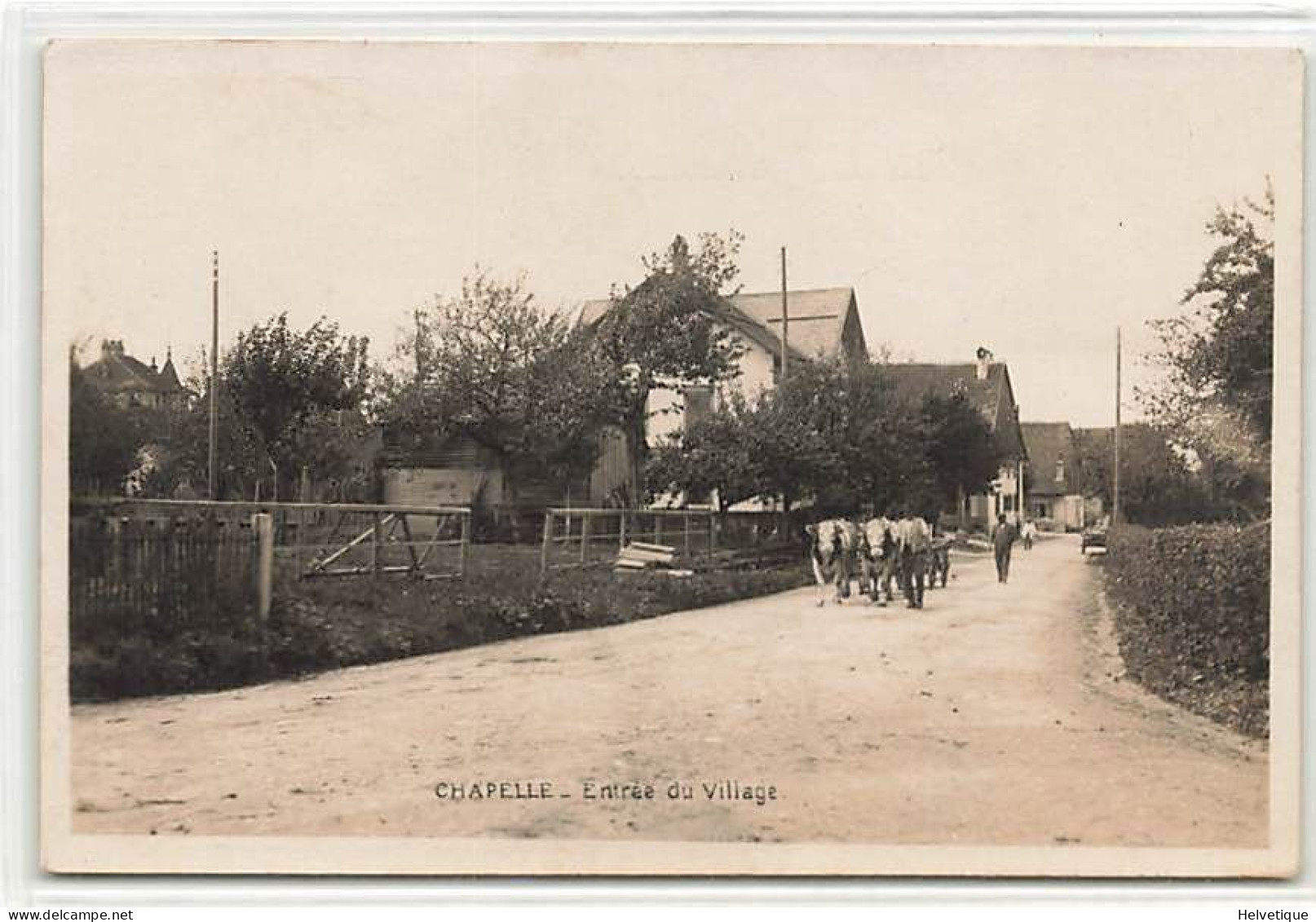 Chapelle Sur Moudon  Entrée Du Village Attelage De Boeuf Vaches - Moudon