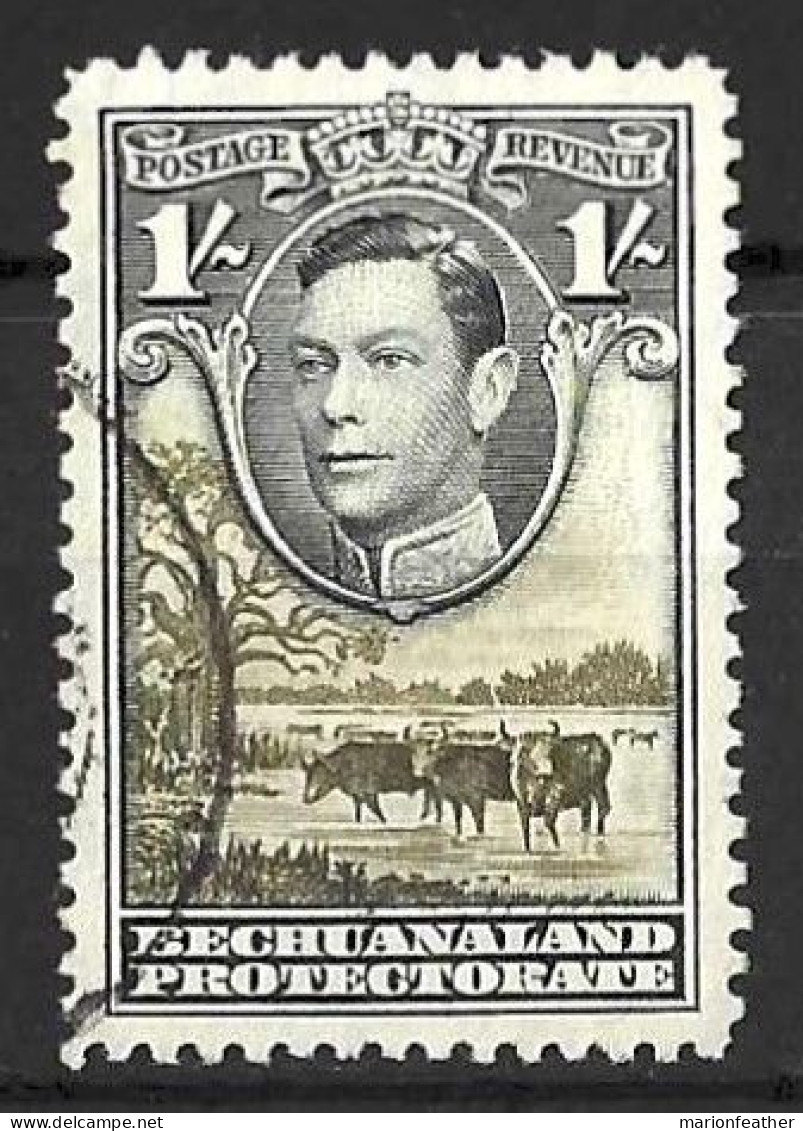 BECHUANALAND....KING GEORGE VI..(1936-52..)....1/-....GREY -BLACK.....SG125a...(CAT.VAL.£50..).....CDS...VFU.. - 1885-1964 Protectorat Du Bechuanaland