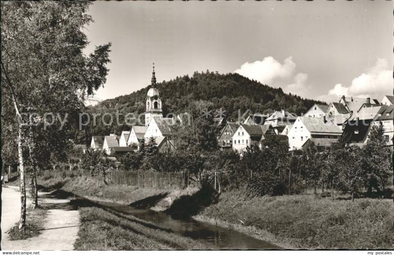 41785273 Pegnitz Schlossberg Pegnitz - Pegnitz