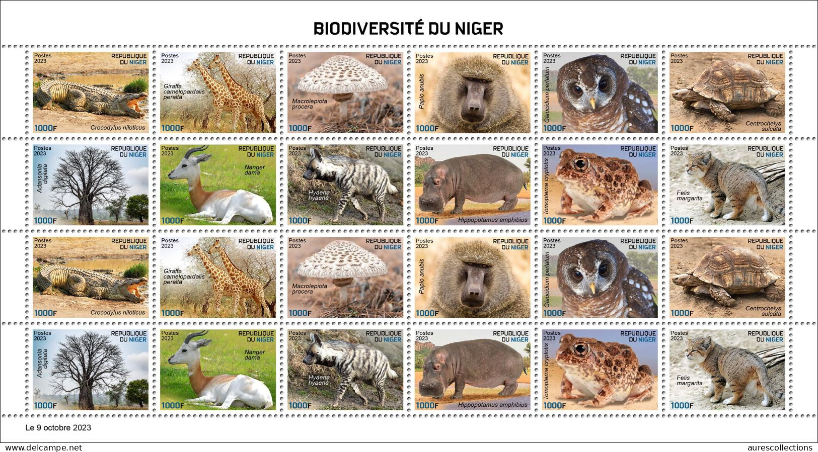 NIGER 2023 SHEET 24V - FROGS TURTLES MONKEYS HYENA BAOBAB CROCODILES GIRAFFE MUSHROOMS OWLS CATS HIPPOPOTAMUS - MNH - Grenouilles