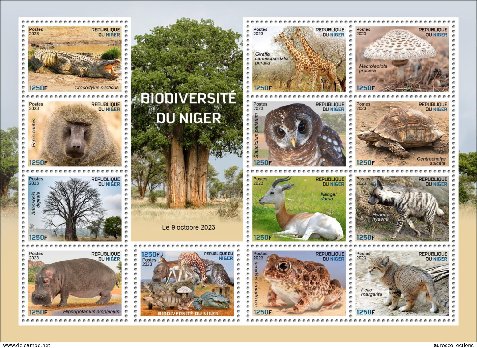 NIGER 2023 FULL PACK 16 M/S FROGS TURTLES MONKEYS HYENA BAOBAB CROCODILES GIRAFFE MUSHROOMS OWLS CATS HIPPOPOTAMUS - MNH - Grenouilles