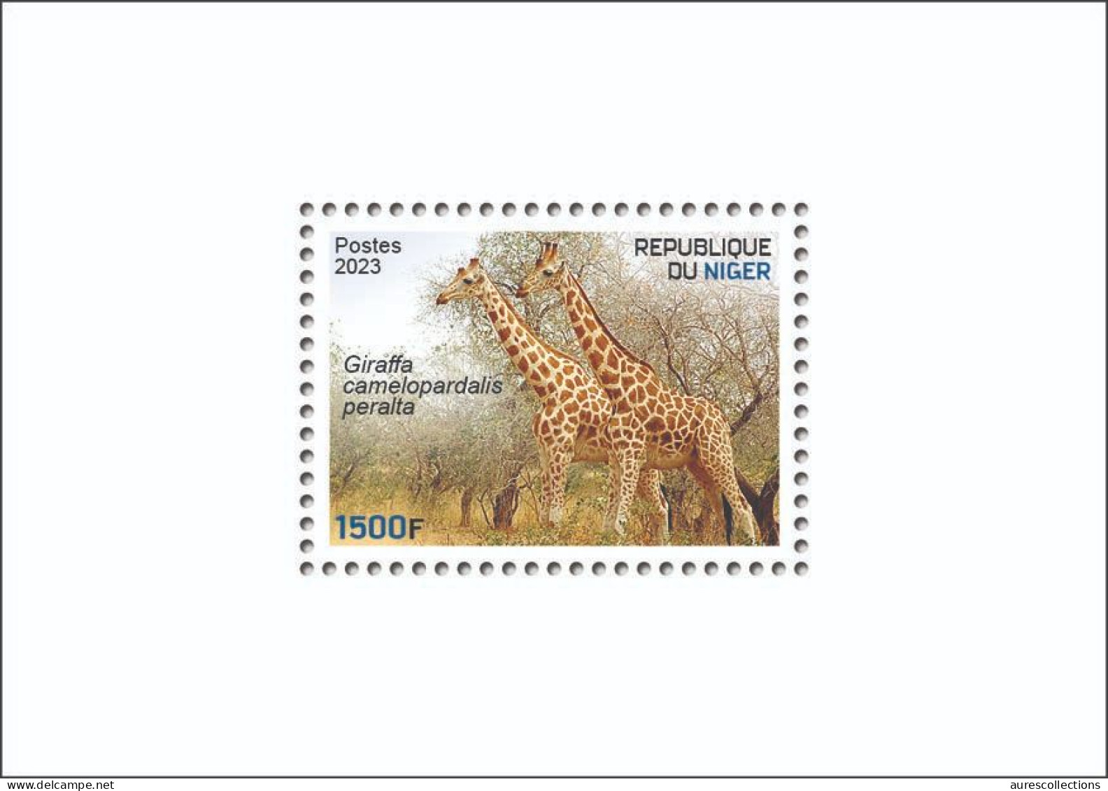 NIGER 2023 - SHEET - GIRAFE GIRAFES GIRAFFE GIRAFFES - LUXE MNH - Giraffes