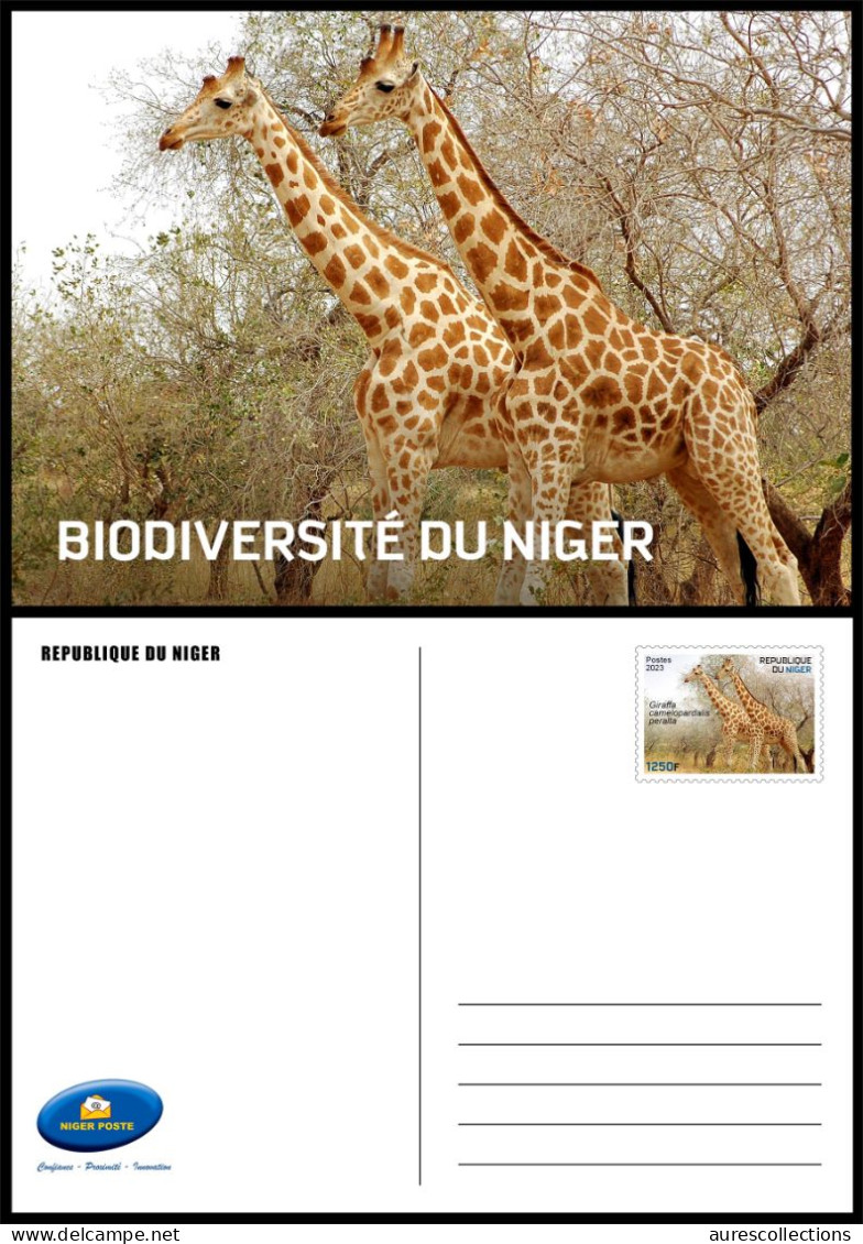 NIGER 2023 - STATIONERY CARD - GIRAFE GIRAFES GIRAFFE GIRAFFES - Giraffes