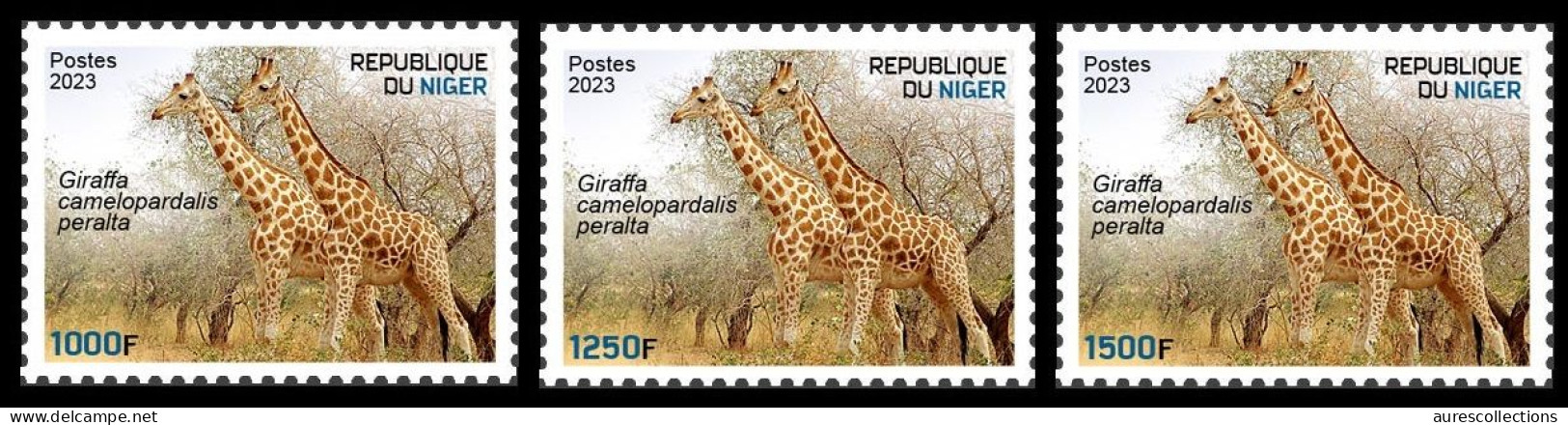 NIGER 2023 - SET 3V - GIRAFE GIRAFES GIRAFFE GIRAFFES - MNH - Giraffes