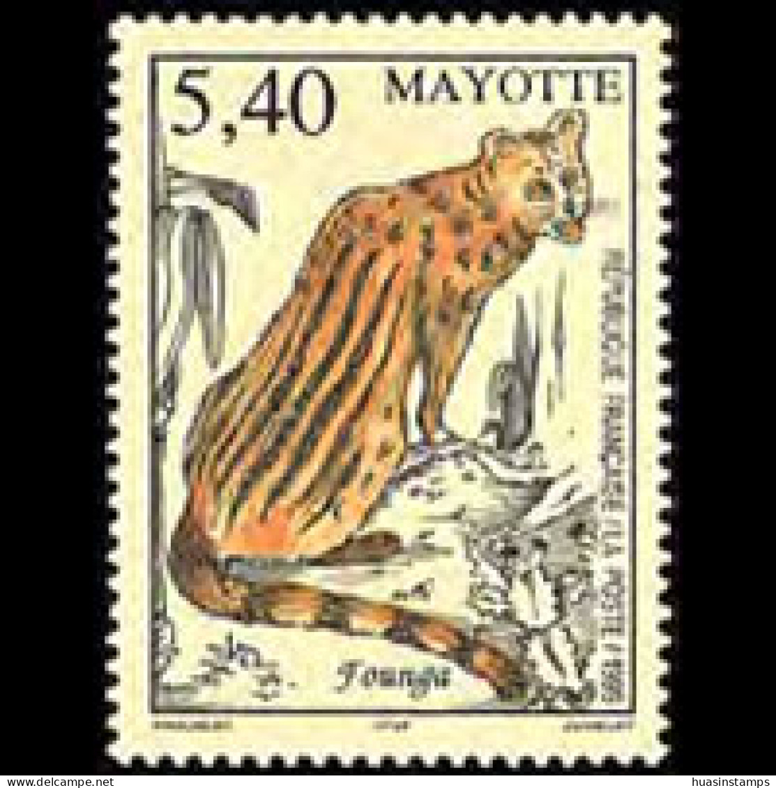 MAYOTTE 1999 - Scott# 126 Wildlife-Founga Set Of 1 MNH - Sonstige & Ohne Zuordnung