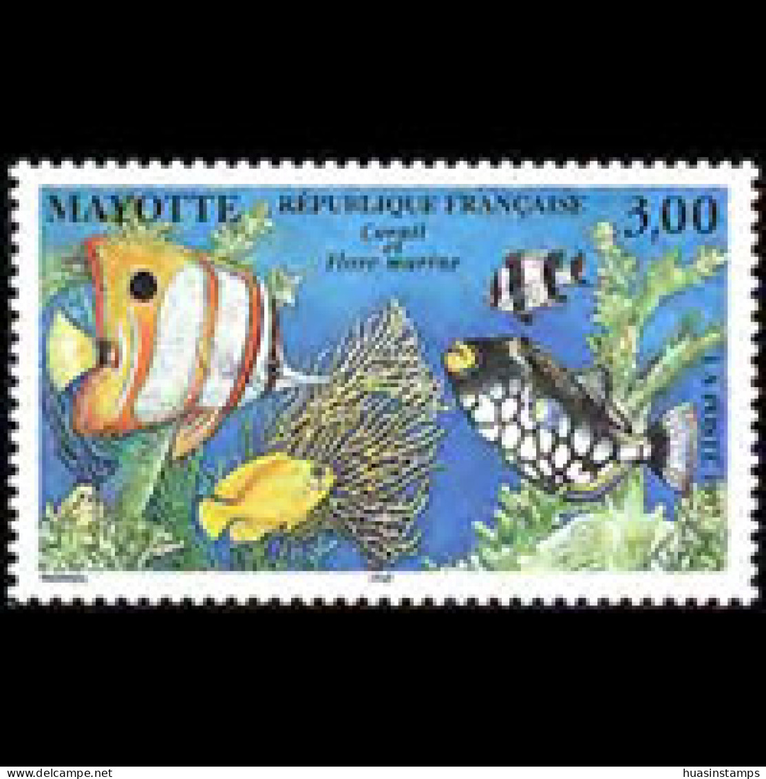 MAYOTTE 1997 - Scott# 91 Marine Life Set Of 1 MNH - Autres & Non Classés