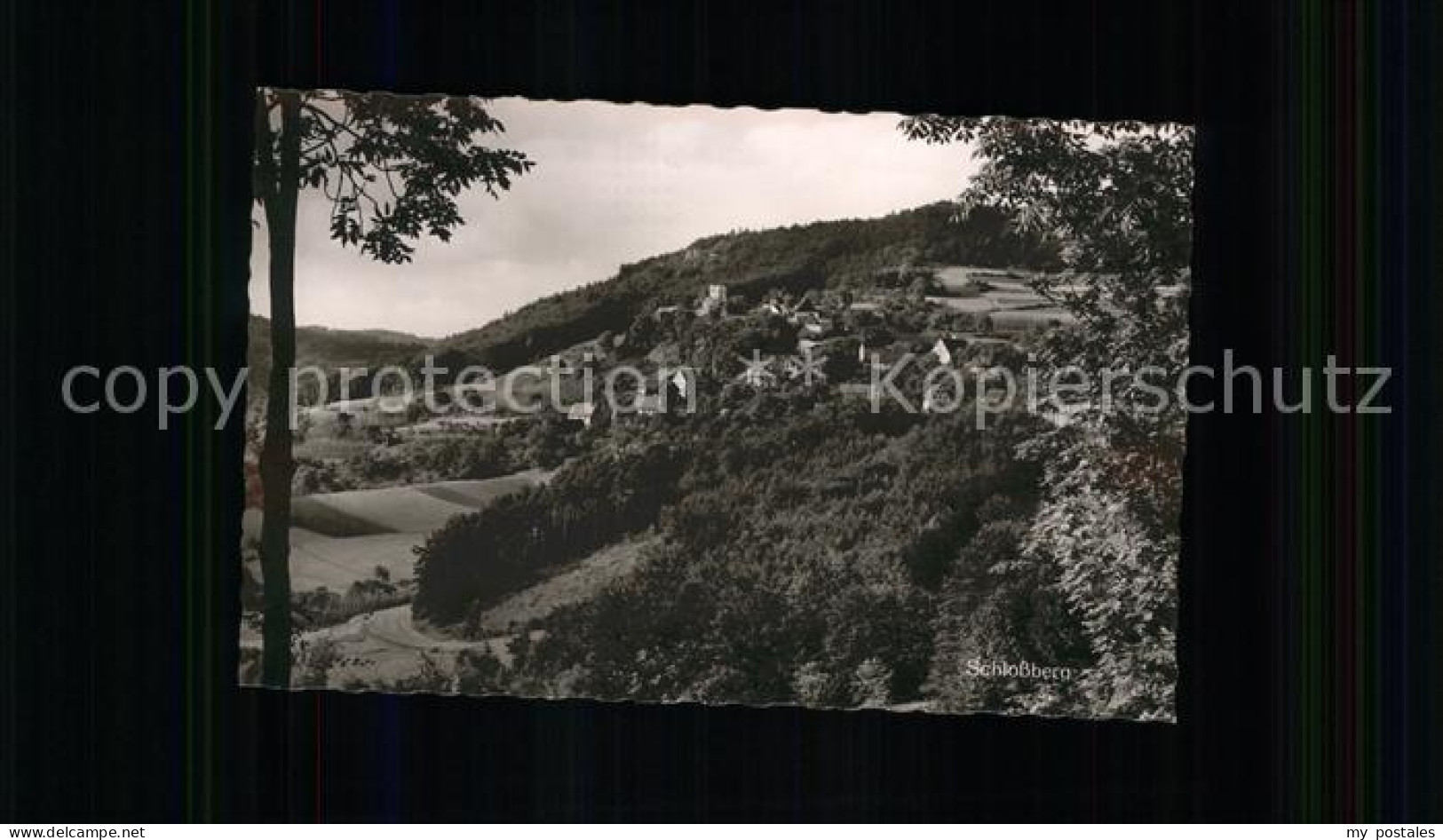 41783290 Osternohe Lauf  Gasthaus Igel Schlossberg Osternohe Lauf - Lauf