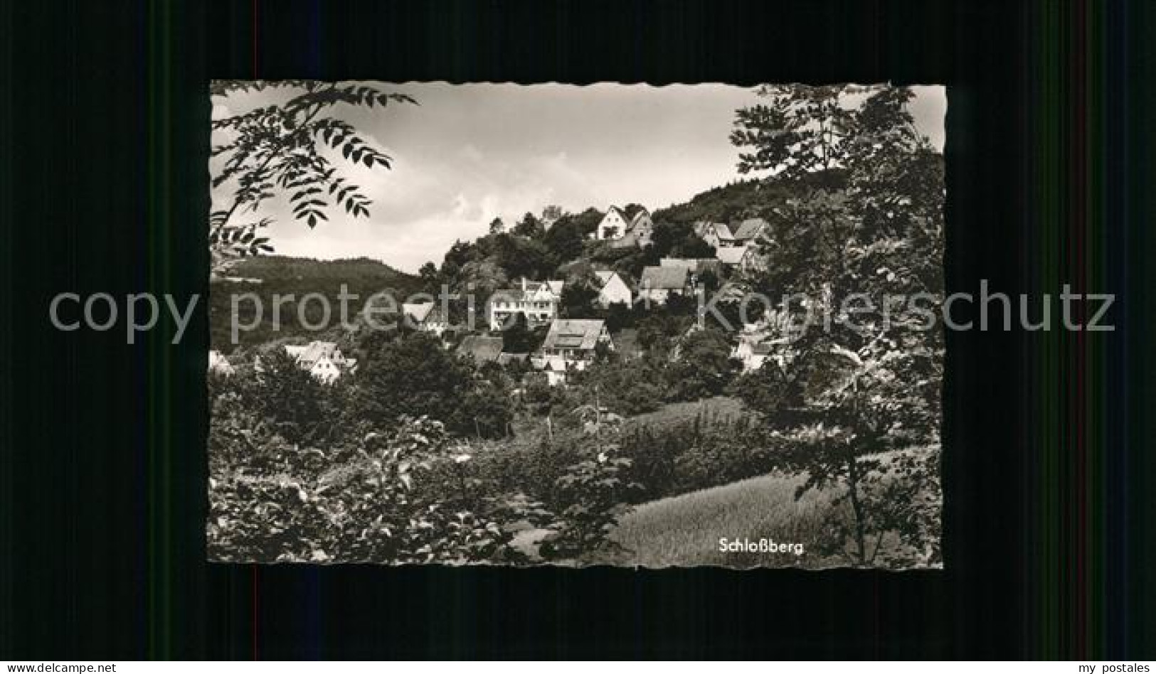 41783289 Lauf Pegnitz Osternohe Gasthaus Igel Schlossberg Lauf Pegnitz - Lauf