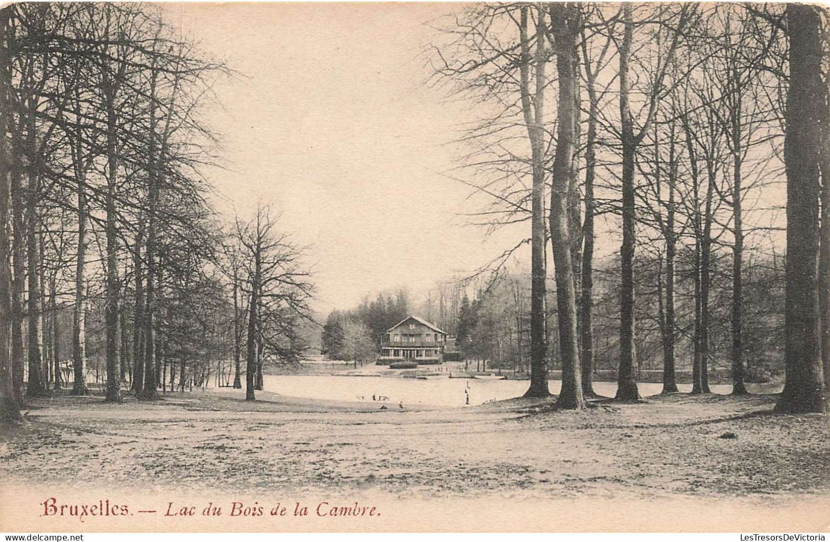 BELGIQUE - Bruxelles - Lac Du Bois De La Cambre - Carte Postale Ancienne - Otros & Sin Clasificación