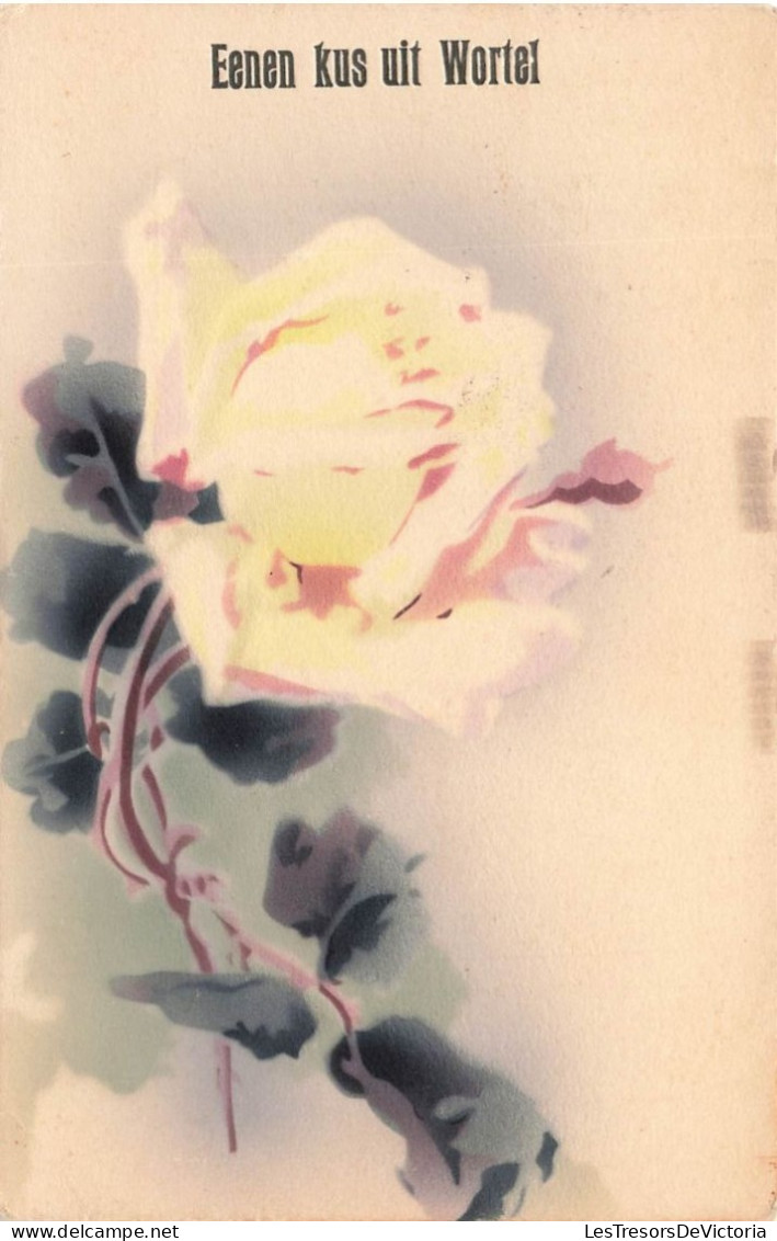 FLEUR - Rose - Eenen Kus Uit Wortel - Carte Postale Ancienne - Fleurs