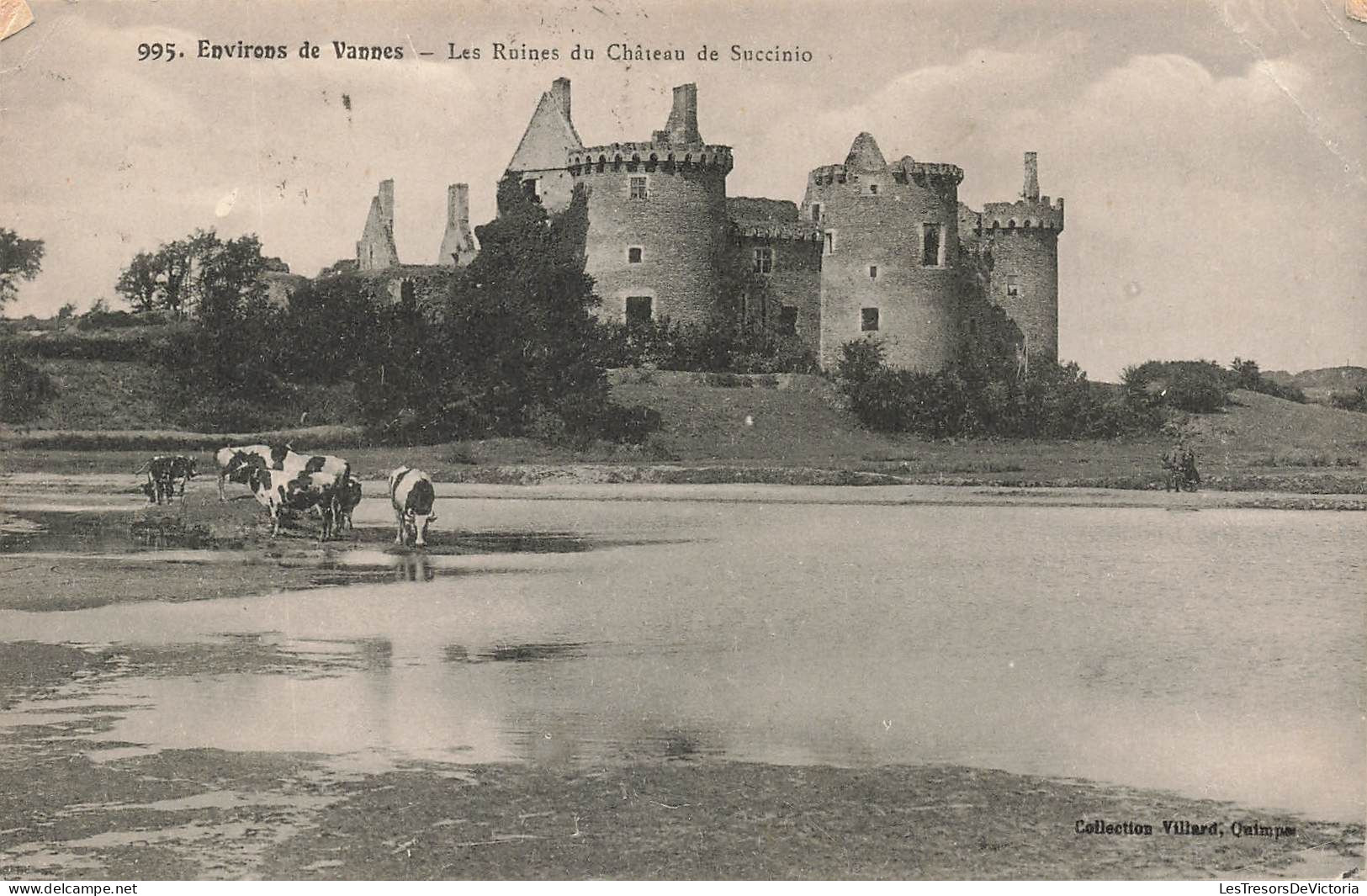 FRANCE - Environs De Vannes - Les Ruines Du Châeau De Succinio - Vaches Broutant - Carte Postale Ancienne - Vannes