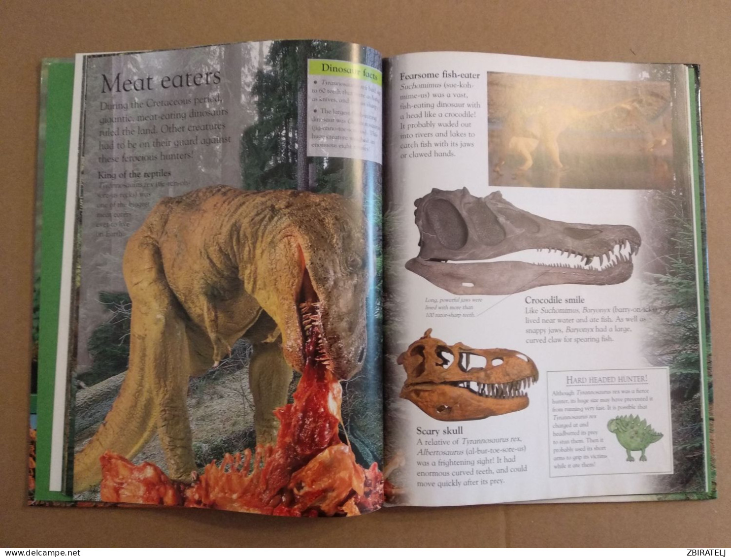 Book Hard Cover DINOSAUR (Eye Wonder) - Picture Books