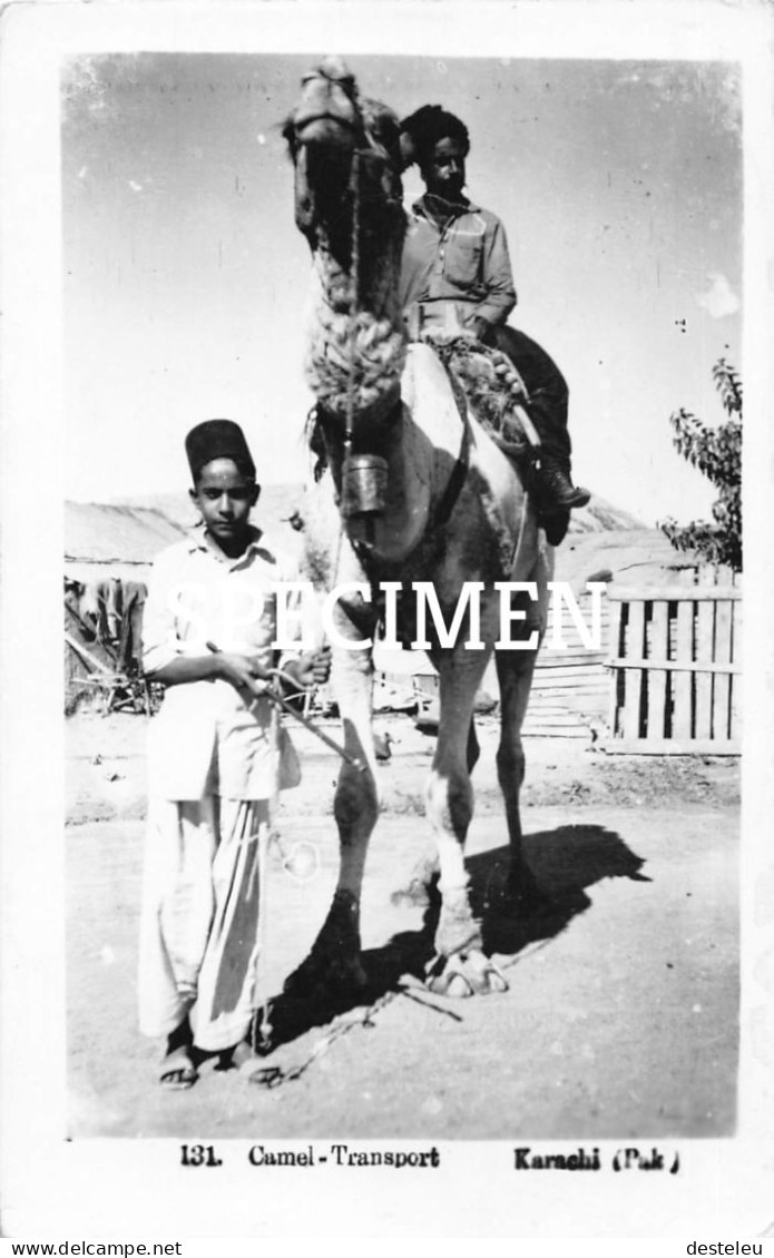 Camel Transport - Karachi - Pakistan - Pakistán