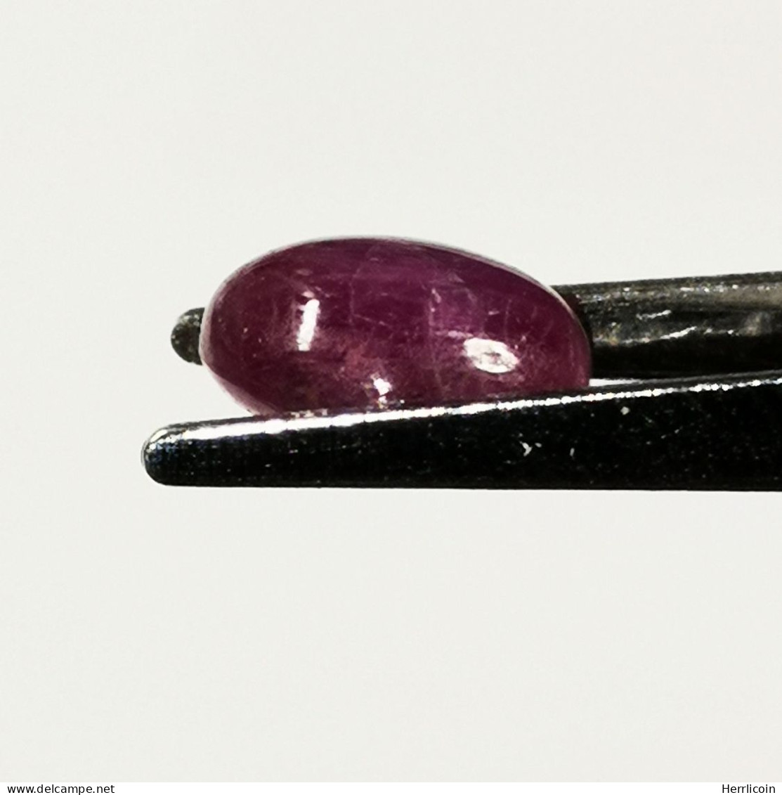 Rubis Traité (GF) Du Mozambique- Cabochon 3.91 Carats - 9.5 X 7.7 X 4.5 Mm - Robijn