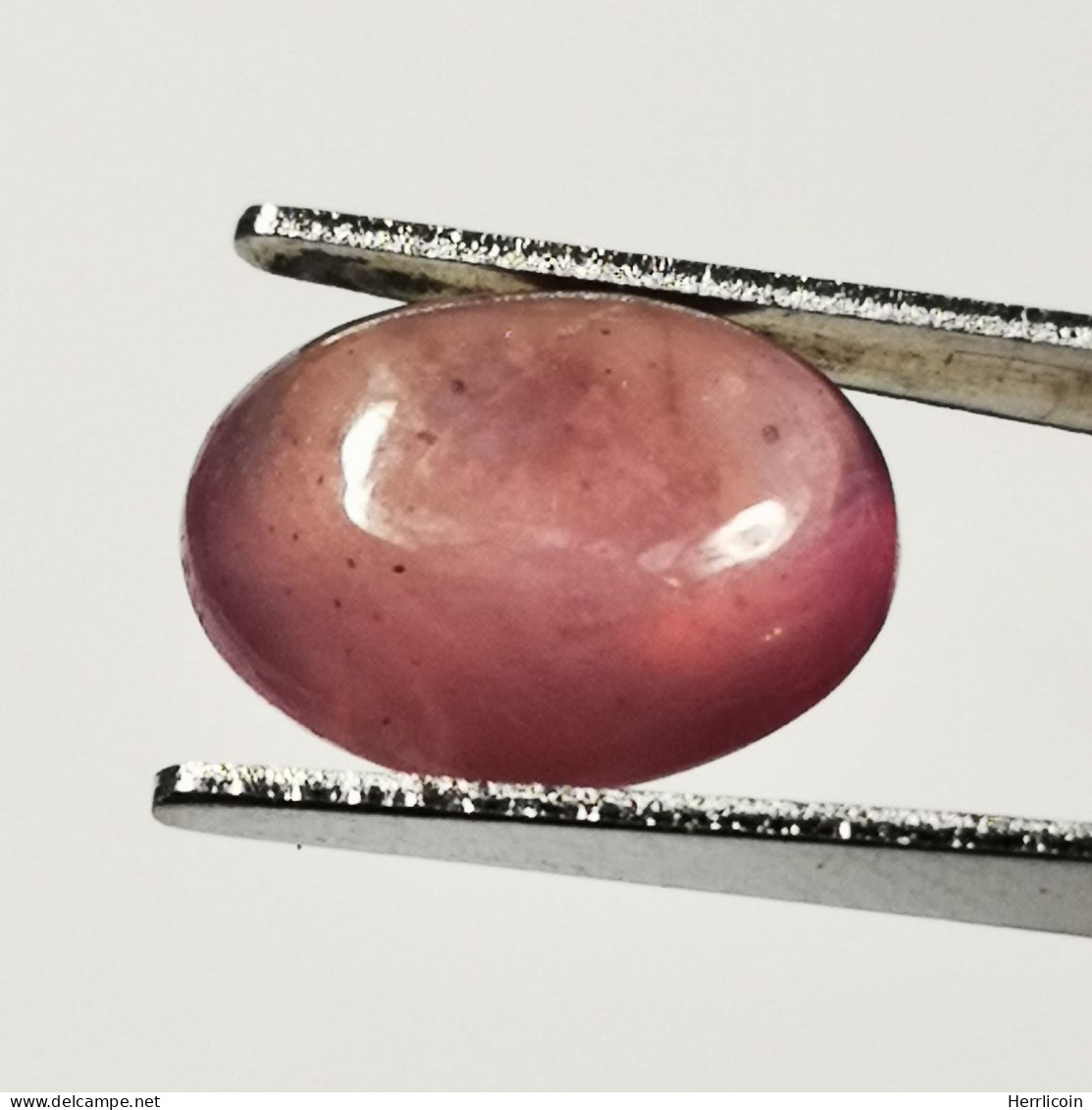 Rubis Traité (GF) Du Mozambique- Cabochon 6.05 Carats - 11.9 X 9.5 X 4.6 Mm - Rubino