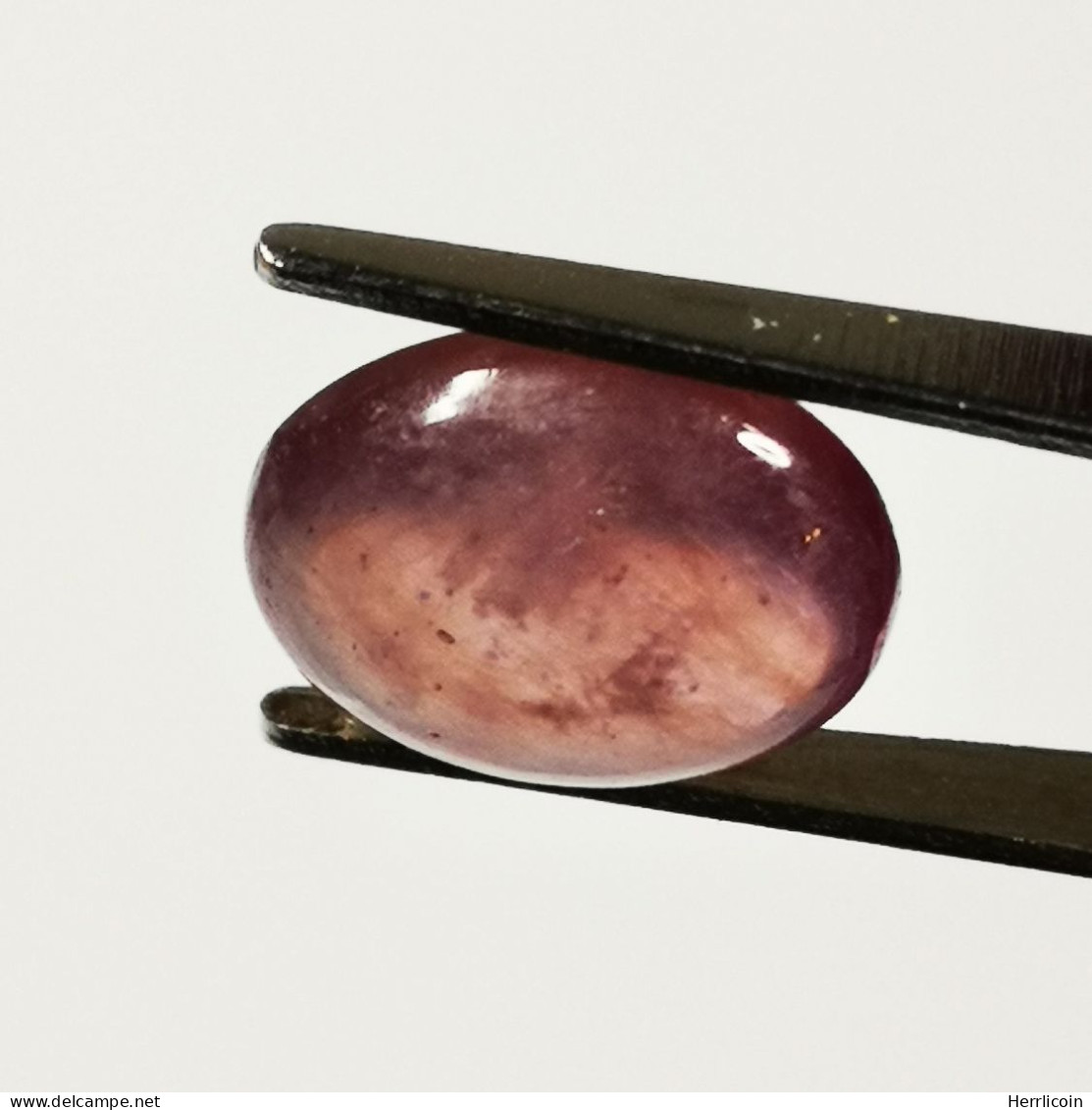 Rubis Traité (GF) Du Mozambique- Cabochon 6.05 Carats - 11.9 X 9.5 X 4.6 Mm - Rubin