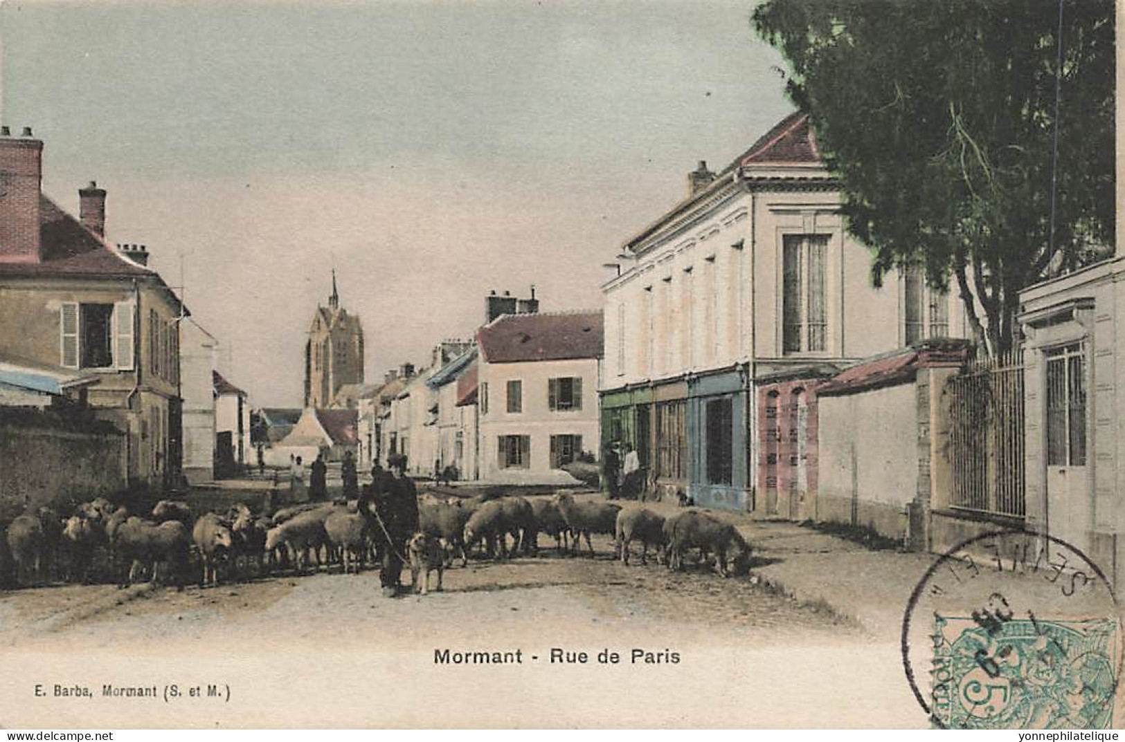 77 - SEINE ET MARNE - MORMANT - Rue De Paris - Colorisée, Berger Et Ses Moutons - 10874 - Mormant