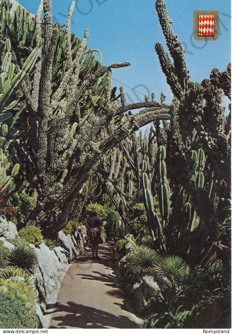CARTOLINA  MONTE-CARLO,MONACO-LE JARDIN EXOTIQUE-NON VIAGGIATA (1986) - Exotic Garden