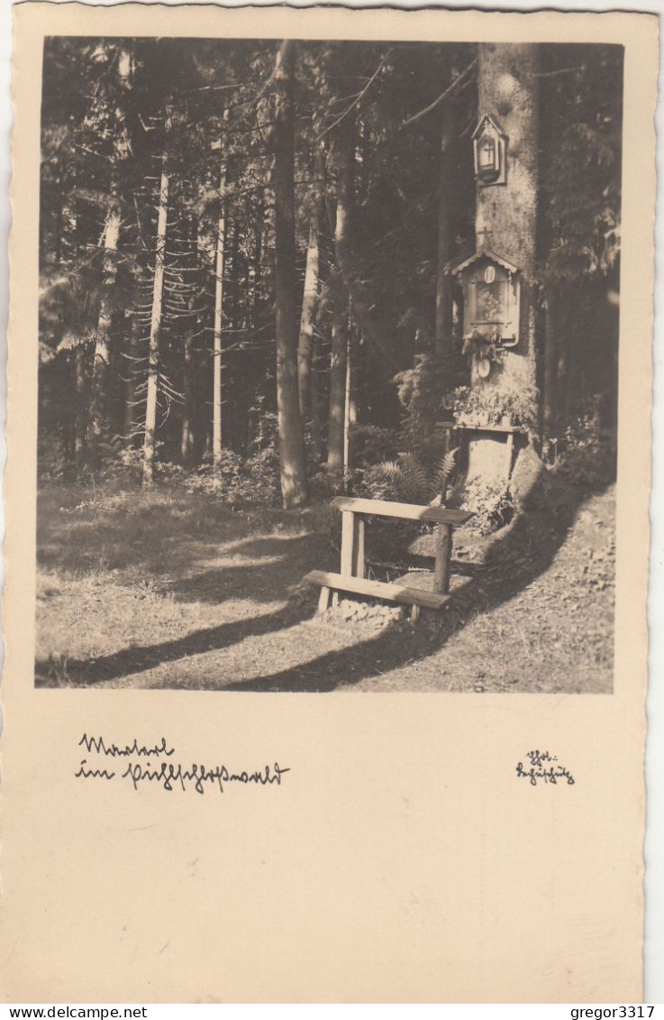 E1740) Materl Im PICHLSCHLOßWALD Bei  NEUMARKT - Mariahoferkirche - Steiermark - ALT ! 1942 - Neumarkt