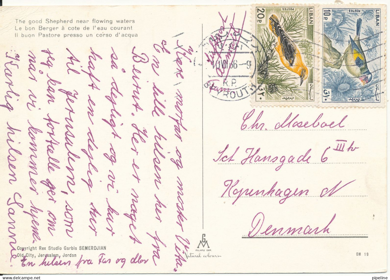 Lebanon Postcard Sent To Denmark 10-7-1966 (The Good Shepherd Near Flowing Water) Weak Right Upper Corner - Liban