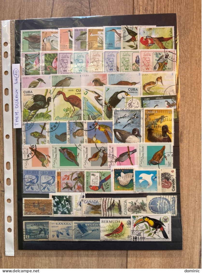 Thème Oiseaux Lot 10 - Collections, Lots & Series