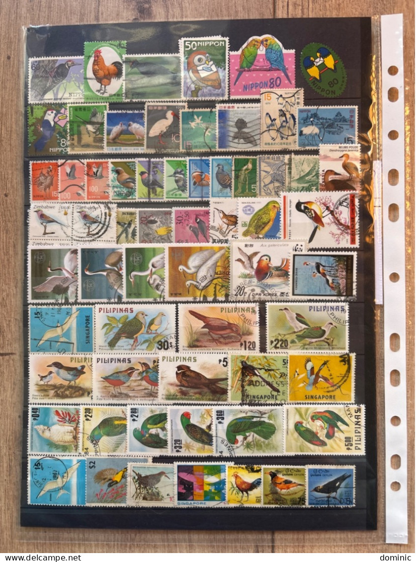 Thème Oiseaux Lot 16 - Collections, Lots & Series