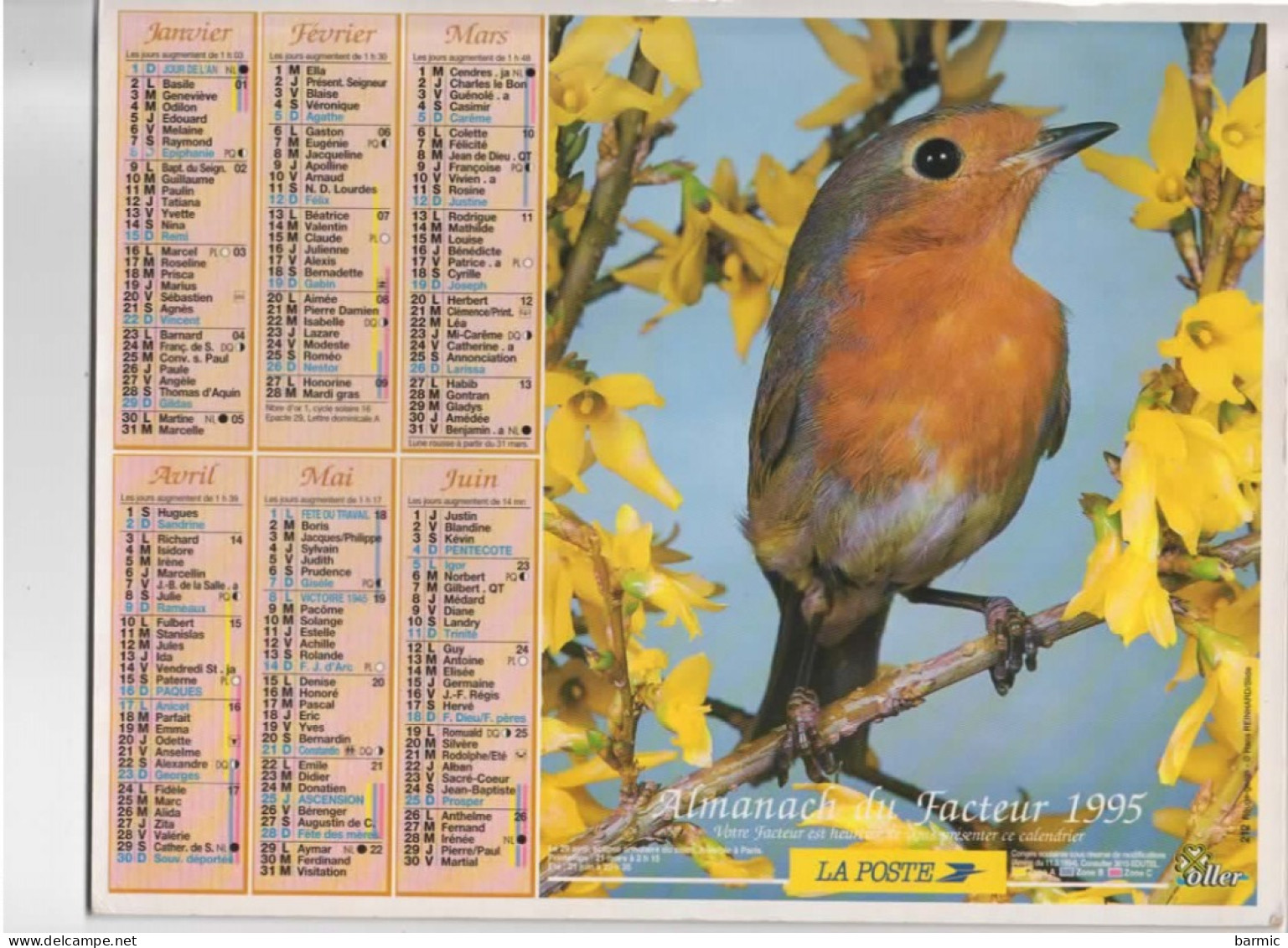 CALENDRIER ANNEE 1995, COMPLET, OISEAUX REF 13763 - Grand Format : 1991-00