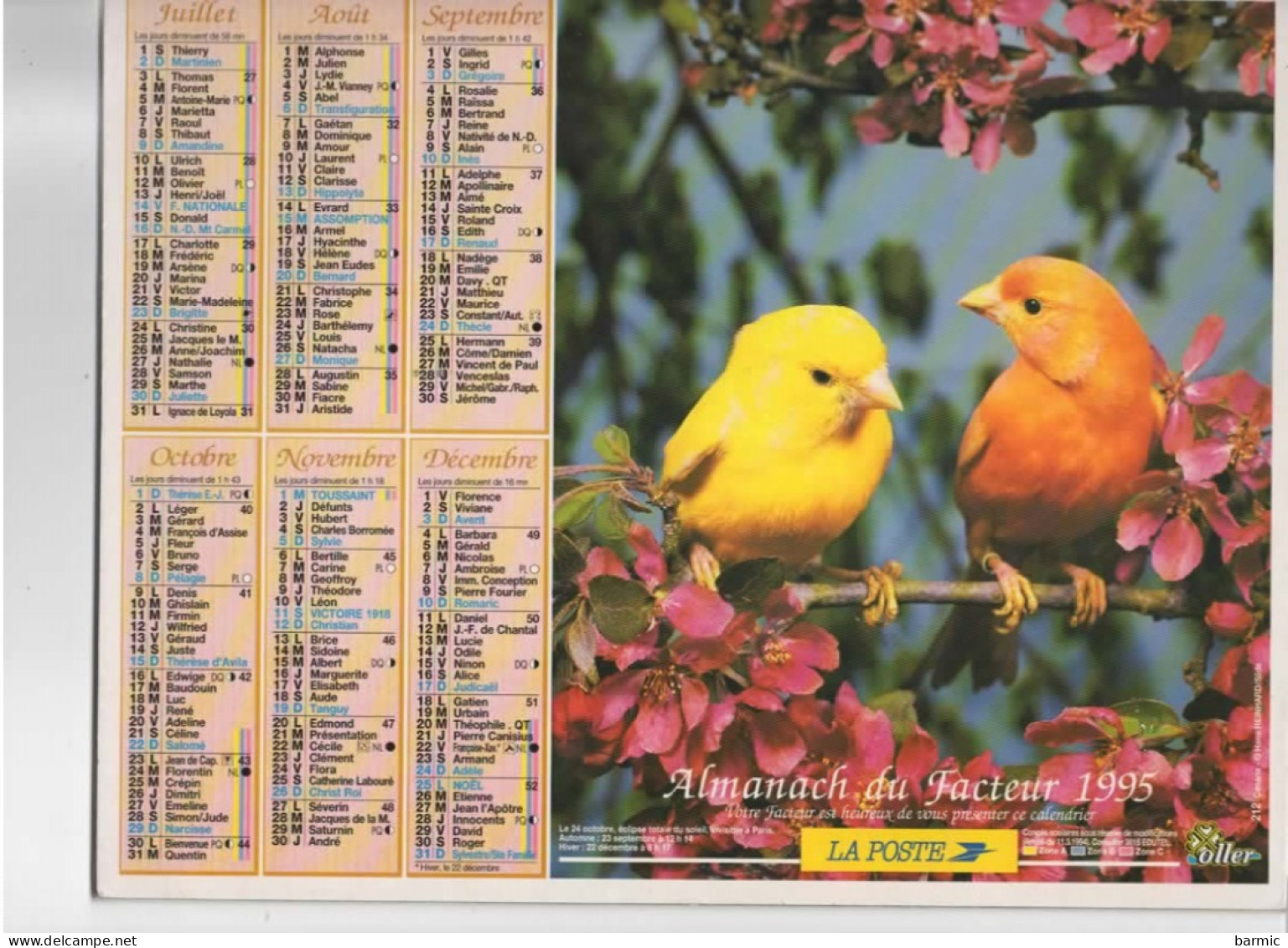 CALENDRIER ANNEE 1995, COMPLET, OISEAUX REF 13763 - Tamaño Grande : 1991-00