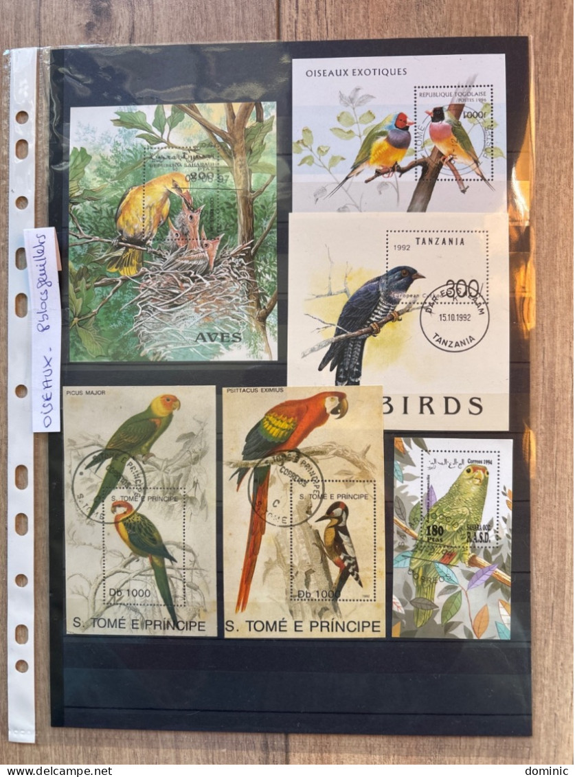 Thème Oiseaux Lot  De 8 Blocs Feuillets - Collections, Lots & Séries