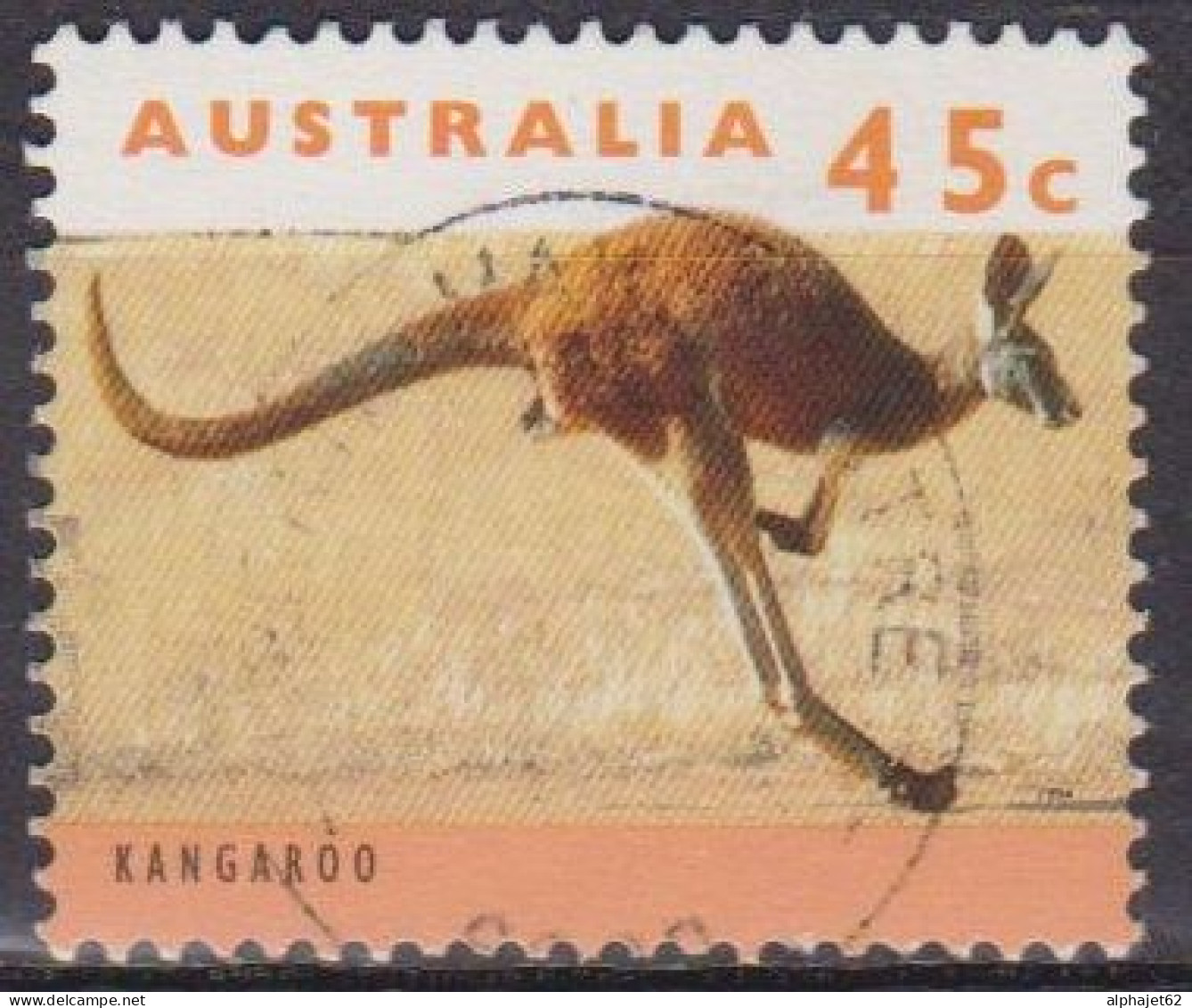 Kangourou - Faune Sauvage - AUSTRALIE - Male Sautant - N° 1362 - 1994 - Gebraucht