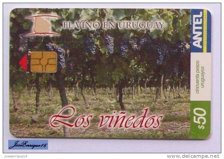 TC 363a EL VINO EN EL URUGUAY - WINE IN URUGUAY - VIN EN URUGUAY - LOS VIÑEDOS - THE VINEYARDS - LE VIGNOBLE - Uruguay