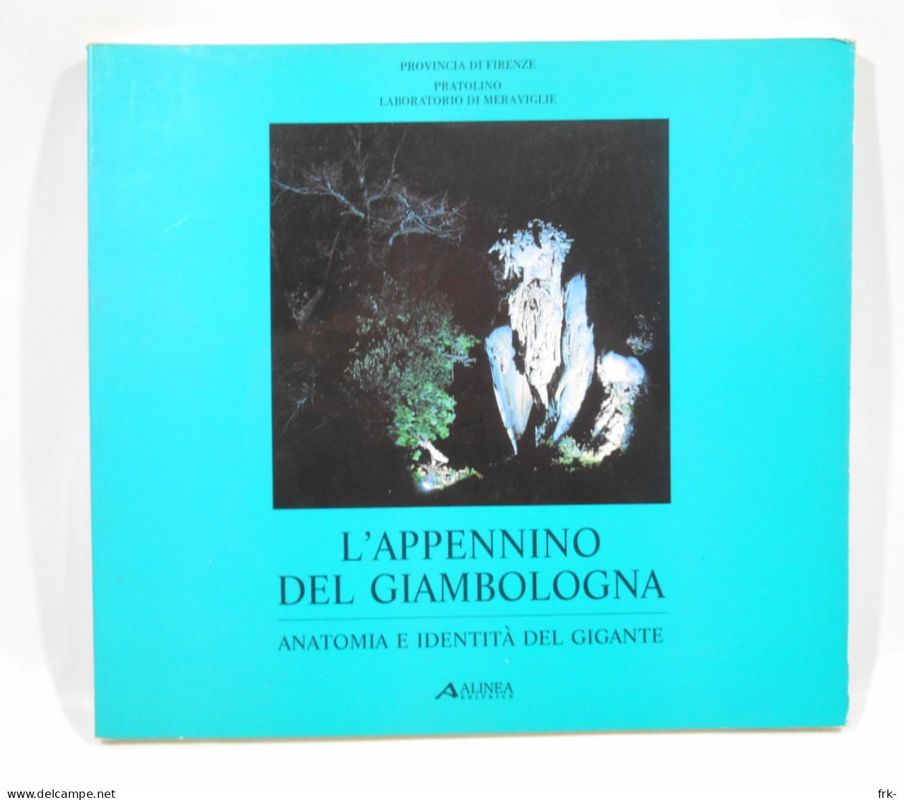 L Appennino Del Giambologna Ed. Alinea 1990 - Kunst, Antiek