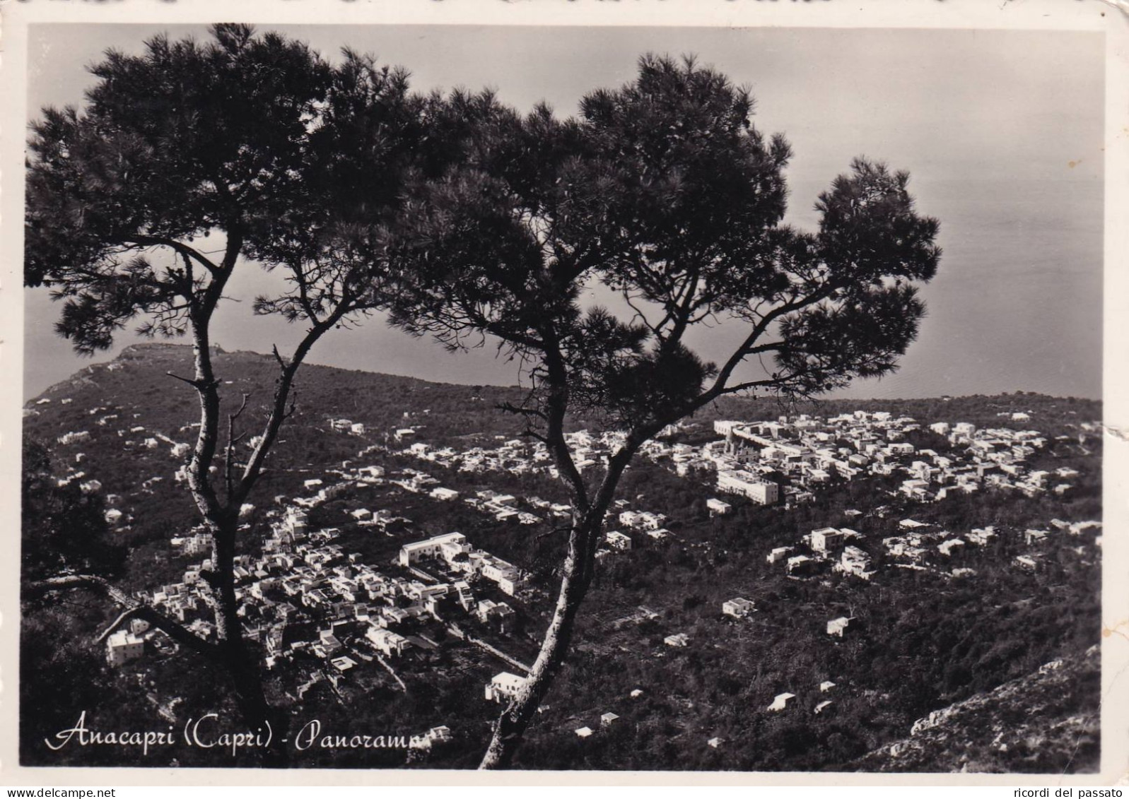 Cartolina Anacapri ( Napoli ) Panorama - Pozzuoli