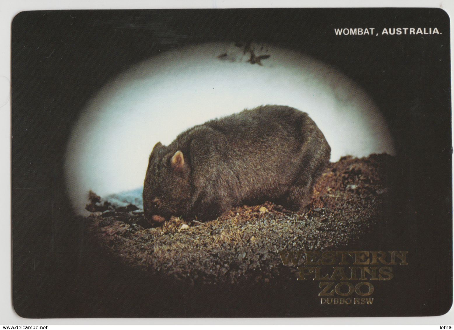 Australia NEW SOUTH WALES NSW Wombat Western Plains Zoo DUBBO Murray Views W713A Postcard C1980s - Dubbo