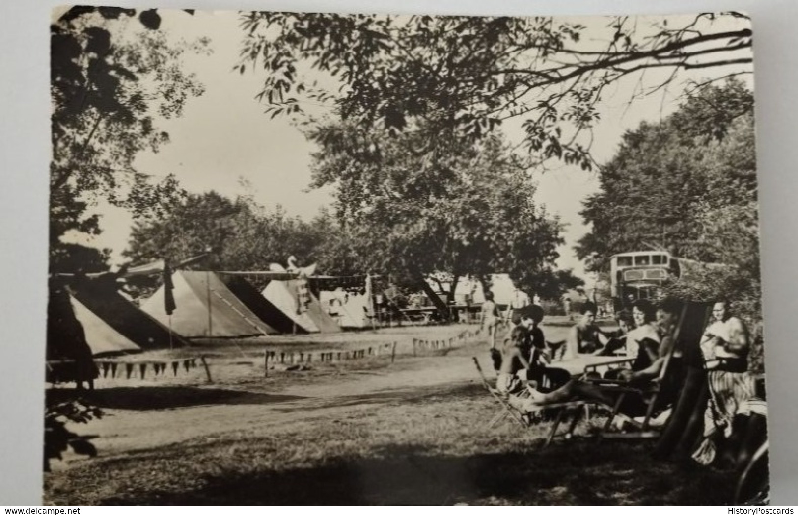 Zaue, Kr. Lübben, Zeltplatz Am Schwielochsee, Belebt, 1967 - Luebben (Spreewald)