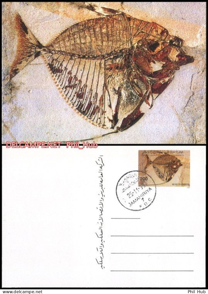 LIBYA 1996 Fossils (p/stationery Postcard FDC) - Fossiles