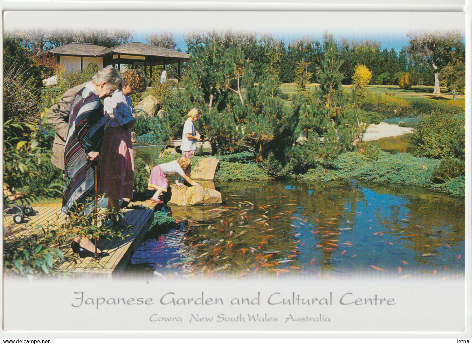 Australia NEW SOUTH WALES NSW Feeding Fish Japanese Garden COWRA Murray Views CWA18 Postcard C2000s - Sonstige & Ohne Zuordnung